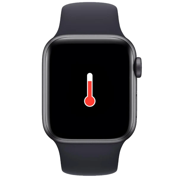 Diagnoza i naprawa w serwis Apple Watch Pan Szybka